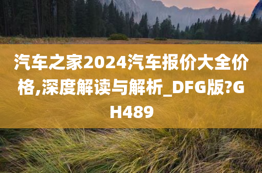 汽车之家2024汽车报价大全价格,深度解读与解析_DFG版?GH489