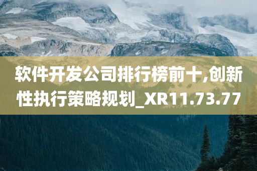 软件开发公司排行榜前十,创新性执行策略规划_XR11.73.77