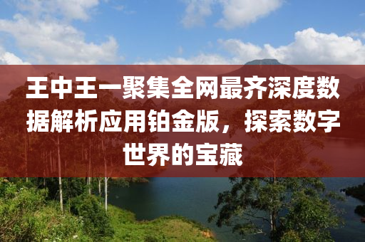 王中王一聚集全网最齐深度数据解析应用铂金版，探索数字世界的宝藏