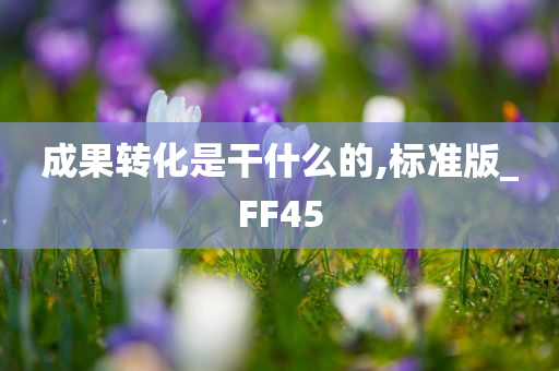 成果转化是干什么的,标准版_FF45