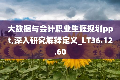 大数据与会计职业生涯规划ppt,深入研究解释定义_LT36.12.60