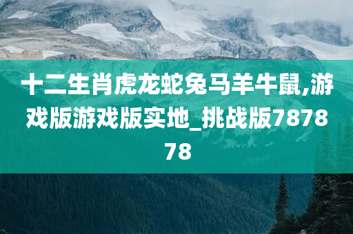 十二生肖虎龙蛇兔马羊牛鼠,游戏版游戏版实地_挑战版787878