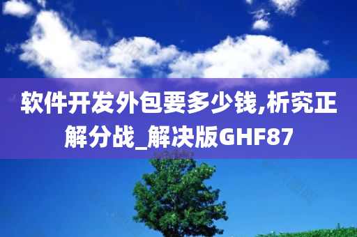 软件开发外包要多少钱,析究正解分战_解决版GHF87