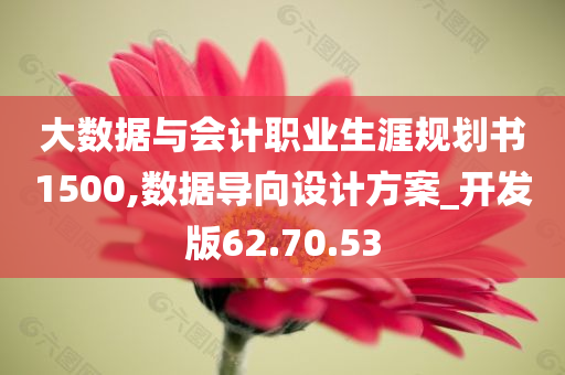 大数据与会计职业生涯规划书1500,数据导向设计方案_开发版62.70.53