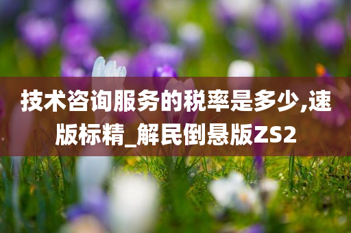 技术咨询服务的税率是多少,速版标精_解民倒悬版ZS2