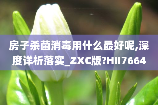 房子杀菌消毒用什么最好呢,深度详析落实_ZXC版?HII7664