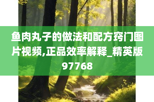 鱼肉丸子的做法和配方窍门图片视频,正品效率解释_精英版97768