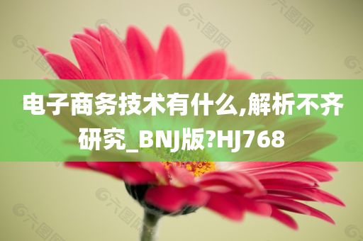 电子商务技术有什么,解析不齐研究_BNJ版?HJ768