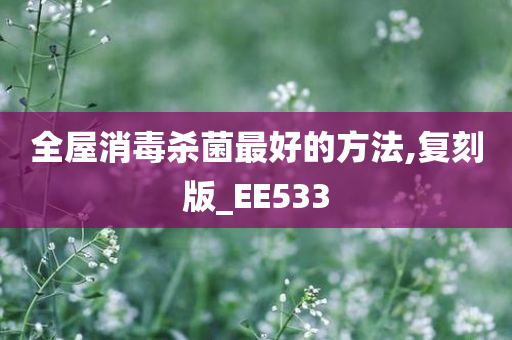 全屋消毒杀菌最好的方法,复刻版_EE533