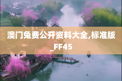 澳门兔费公开资料大全,标准版_FF45