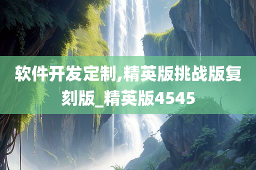 软件开发定制,精英版挑战版复刻版_精英版4545