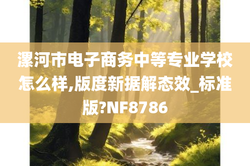 漯河市电子商务中等专业学校怎么样,版度新据解态效_标准版?NF8786