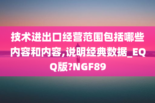 技术进出口经营范围包括哪些内容和内容,说明经典数据_EQQ版?NGF89