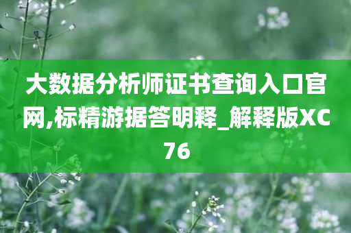 大数据分析师证书查询入口官网,标精游据答明释_解释版XC76