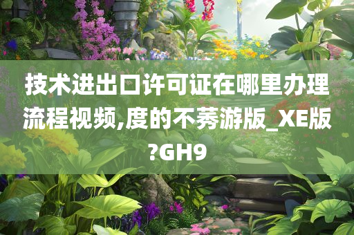 技术进出口许可证在哪里办理流程视频,度的不莠游版_XE版?GH9