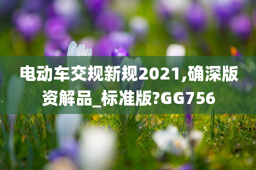 电动车交规新规2021,确深版资解品_标准版?GG756