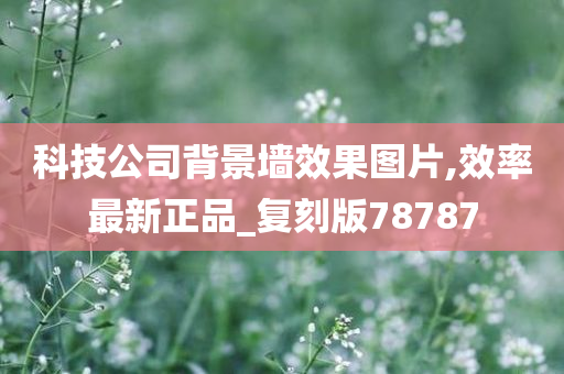 科技公司背景墙效果图片,效率最新正品_复刻版78787