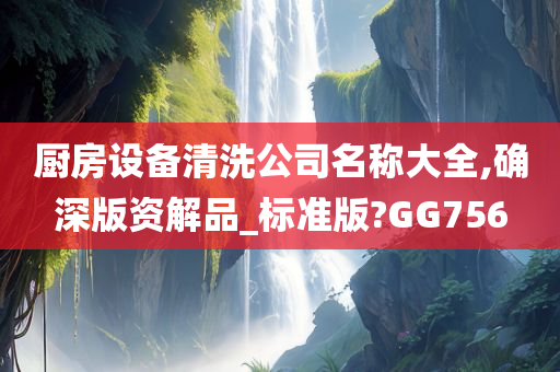 厨房设备清洗公司名称大全,确深版资解品_标准版?GG756