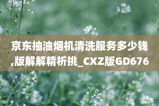 京东抽油烟机清洗服务多少钱,版解解精析挑_CXZ版GD676