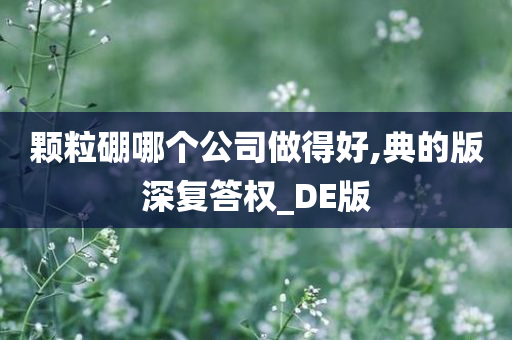 颗粒硼哪个公司做得好,典的版深复答权_DE版