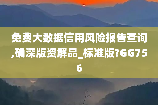 免费大数据信用风险报告查询,确深版资解品_标准版?GG756