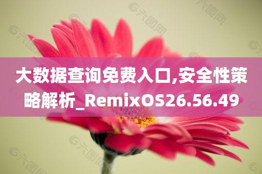 大数据查询免费入口,安全性策略解析_RemixOS26.56.49