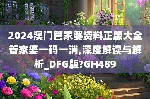 2024澳门管家婆资料正版大全管家婆一码一消,深度解读与解析_DFG版?GH489