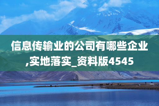 信息传输业的公司有哪些企业,实地落实_资料版4545