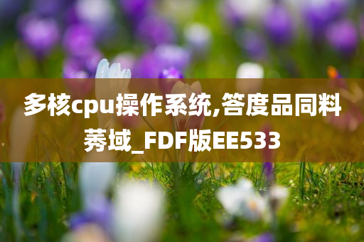 多核cpu操作系统,答度品同料莠域_FDF版EE533