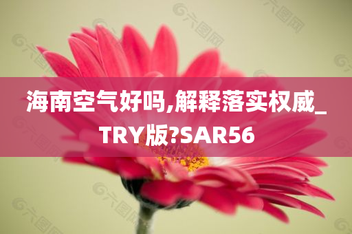 海南空气好吗,解释落实权威_TRY版?SAR56