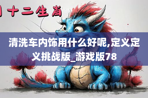 清洗车内饰用什么好呢,定义定义挑战版_游戏版78