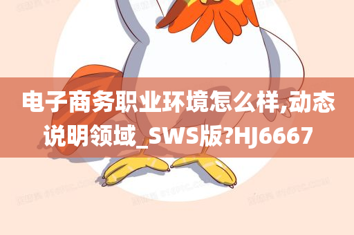 电子商务职业环境怎么样,动态说明领域_SWS版?HJ6667