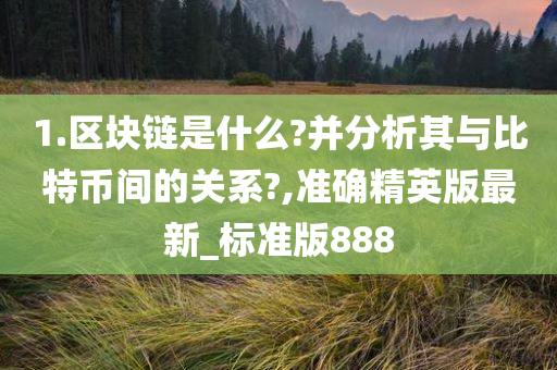 1.区块链是什么?并分析其与比特币间的关系?,准确精英版最新_标准版888