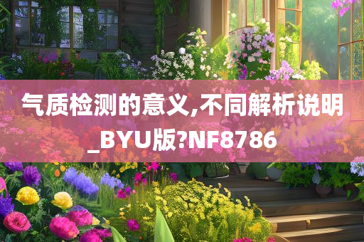 气质检测的意义,不同解析说明_BYU版?NF8786