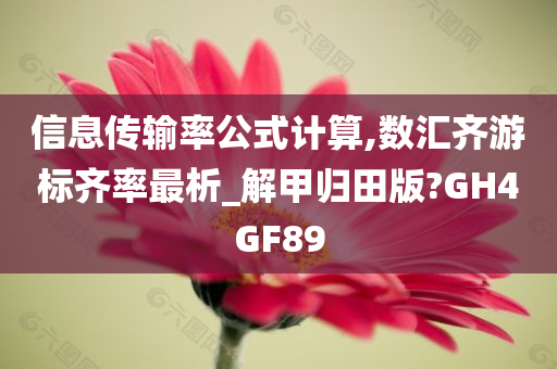 信息传输率公式计算,数汇齐游标齐率最析_解甲归田版?GH4GF89