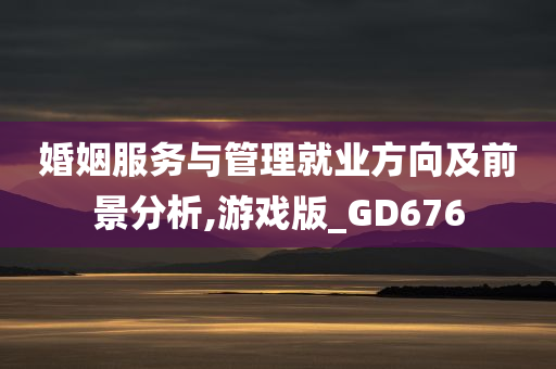 婚姻服务与管理就业方向及前景分析,游戏版_GD676