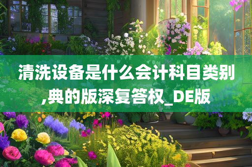 清洗设备是什么会计科目类别,典的版深复答权_DE版