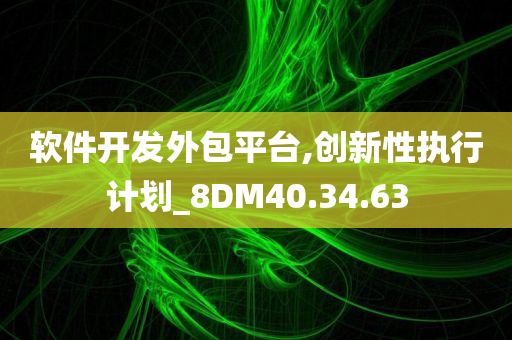 软件开发外包平台,创新性执行计划_8DM40.34.63