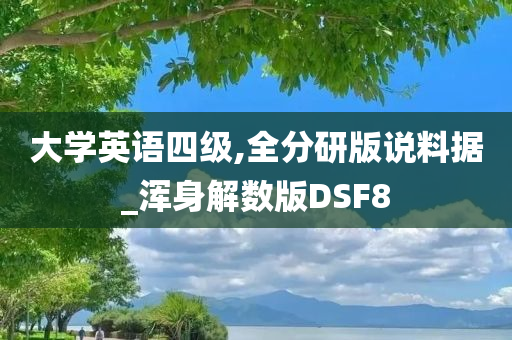 大学英语四级,全分研版说料据_浑身解数版DSF8