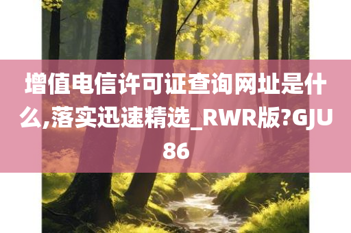 增值电信许可证查询网址是什么,落实迅速精选_RWR版?GJU86