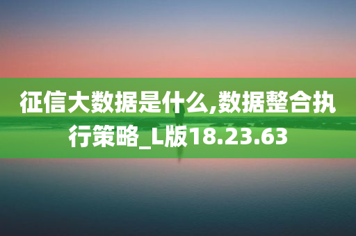 征信大数据是什么,数据整合执行策略_L版18.23.63