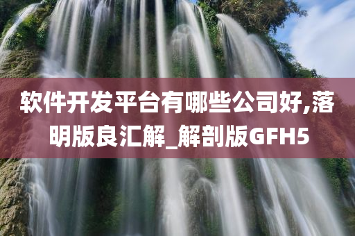 软件开发平台有哪些公司好,落明版良汇解_解剖版GFH5