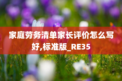 家庭劳务清单家长评价怎么写好,标准版_RE35