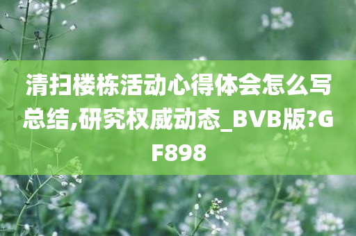 清扫楼栋活动心得体会怎么写总结,研究权威动态_BVB版?GF898