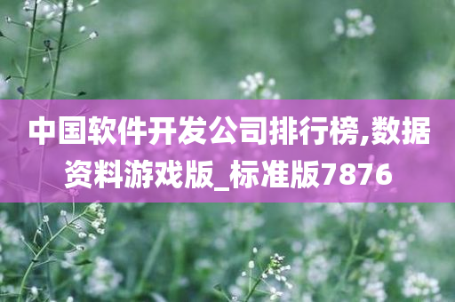 中国软件开发公司排行榜,数据资料游戏版_标准版7876