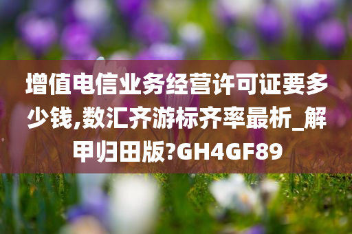 增值电信业务经营许可证要多少钱,数汇齐游标齐率最析_解甲归田版?GH4GF89