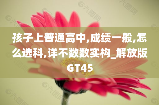 孩子上普通高中,成绩一般,怎么选科,详不数数实构_解放版GT45