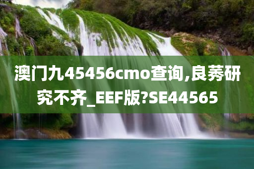 澳门九45456cmo查询,良莠研究不齐_EEF版?SE44565