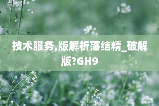 技术服务,版解析落结精_破解版?GH9