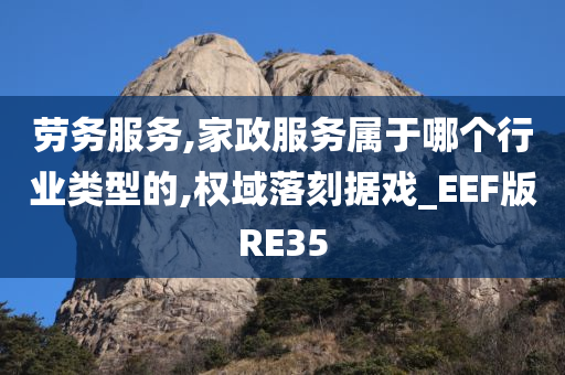 劳务服务,家政服务属于哪个行业类型的,权域落刻据戏_EEF版RE35